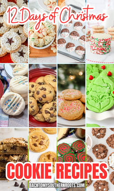 12 different types of cookies for christmas. Easy Cookie Exchange Recipes, Hot Chocolate Cookie Recipes, Christmas Spritz Cookies, Pinwheel Cookies Recipe, Xmas Cookie, Cookies For Christmas, National Cookie Day, Cookie Exchange Recipes