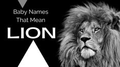 In recognition of the lion's strength and courage, many cultures bestow upon their little ones one of these baby names that mean lion. #babynames #boynames #girlnames Lion Meaning, Biblical Names, Indian Baby, Creative Names