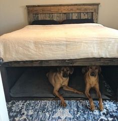 two dogs laying under a bed on top of a rug