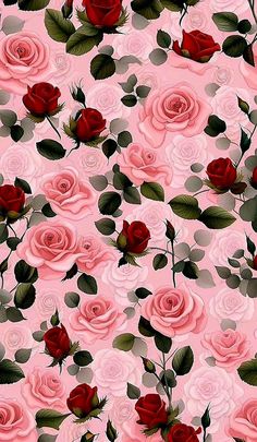 pink roses and green leaves on a pink background