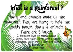 what is a rainforest? with an image of plants and animals in the forest,