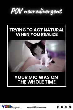 a black and white cat sitting on top of a table next to a sign that says, trying to act natural when you reallize your mic was on the whole time