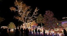 many people are walking around in front of christmas lights and trees at night with lit up decorations