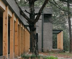 a house with wooden siding and trees in the foreground, next to it is an open door