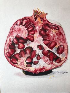 a painting of a pomegranate cut in half on a white paper background