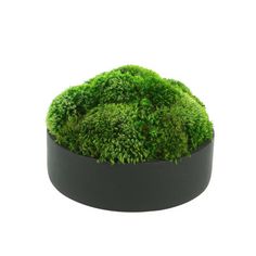 a black bowl filled with green moss on top of a white background