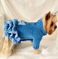 a small dog wearing a blue sweater with ruffles on it's back