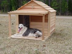 a dog laying in a wooden house on top of dry grass with trees in the background