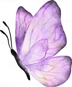 a watercolor painting of a purple butterfly