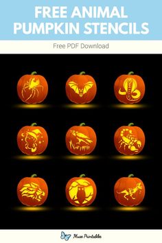 pumpkin stencils with the words free animal pumpkin stencils on them in orange