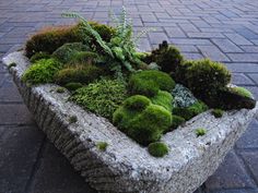 a planter filled with green moss sitting on top of a brick floor next to a sidewalk