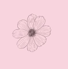 a drawing of a flower on a pink background