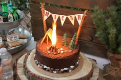 there is a cake that has been made to look like a campfire