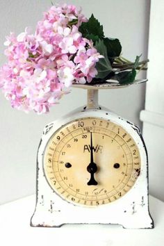 pink flowers are sitting on top of an old fashioned weight scale as if it were used to measure the time