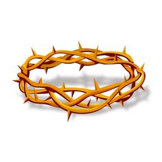 an orange crown of thorns on a white background