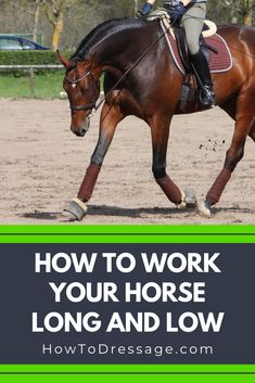 a woman riding on the back of a brown horse with text overlay reading how to work your horse long and low