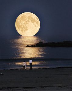 the full moon shines brightly in the night sky over the water and land, with an island in the foreground