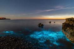 some rocks and water with blue lights on them