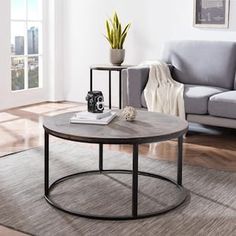 a living room with a couch, coffee table and potted plant