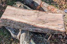 a piece of wood sitting on top of grass next to a pile of tree trunks