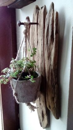 a potted plant hanging from a wooden hook on a wall next to wood planks