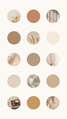 an array of different shades of brown and white