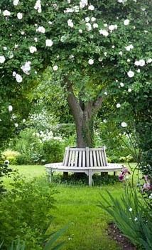 a white bench sitting in the middle of a lush green park filled with trees and flowers