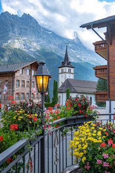 a street with flowers and buildings in the background