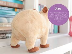 a stuffed animal is standing on a shelf with books behind it and the text size your finished cappuna will be approximately 5 inches long, 6 inches tall