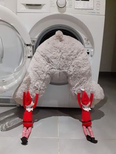 a person in red and white socks standing next to a washing machine with a large stuffed animal