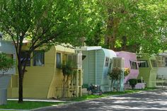 a row of parked rvs sitting next to each other on a tree lined street