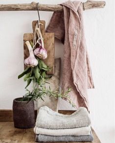 an arrangement of clothes hanging on a wall next to a potted plant and towel rack