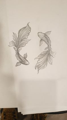 two drawings of goldfish on white paper