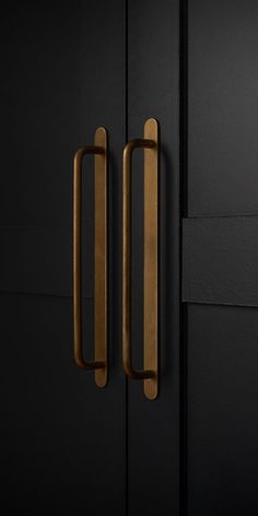 two brass handles on black doors