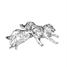 two dogs are playing with each other in black and white ink on paper by itself