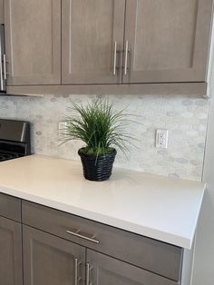 a potted plant sitting on top of a white counter in a kitchen with stainless steel appliances