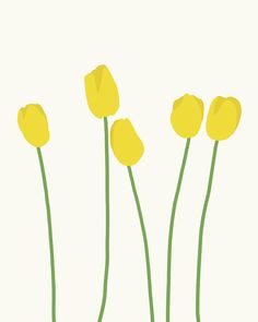 three yellow flowers with green stems on a white background