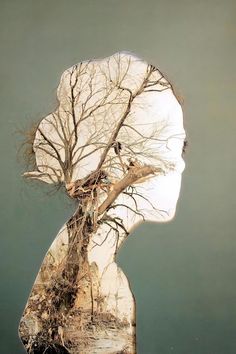 a woman's head with trees growing out of it