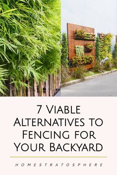 several different types of plants with the words 7 valuable alternatives to fencing for your backyard