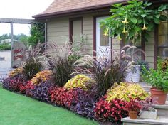 a house with many plants in front of it