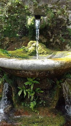 a fountain with water coming out of it in the middle of some rocks and plants