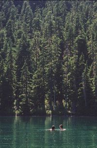 two people swimming in a lake surrounded by tall pine trees and evergreen forest behind them