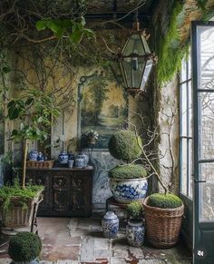 a room filled with lots of potted plants