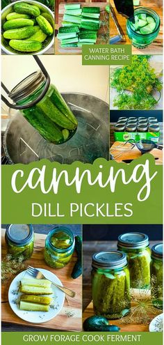 canning dill pickles with text overlay that reads canning dill pickles grow forage cook ferment