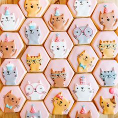 decorated cookies with cats on them are arranged in the shape of hexagons