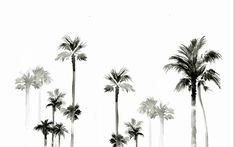 an open laptop computer sitting on top of a white surface with palm trees in the background