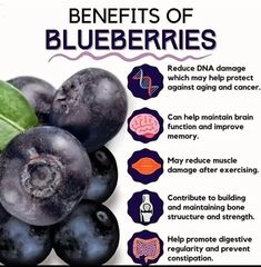 Healthy lifestyle. Blueberry Benefits, Healthier Treats, Outdoors Ideas, Fruit Health, Frozen Berries, Resep Diet, Blueberry Jam, Mid Summer