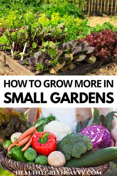 an image of a garden with vegetables in it and the words how to grow more in small gardens