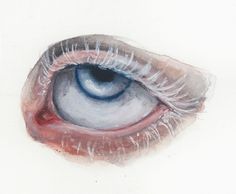 an eye is shown with the iris partially closed and red lining around it's center