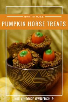 pumpkin horse treats in a bowl with text overlay